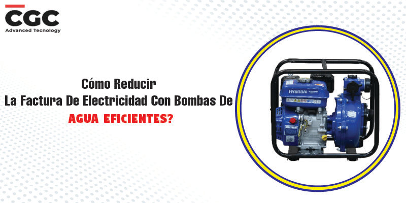 Cómo Reducir La Factura De Electricidad Con Bombas De Agua Eficientes?