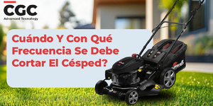 Cuándo Y Con Qué Frecuencia Se Debe Cortar El Césped?